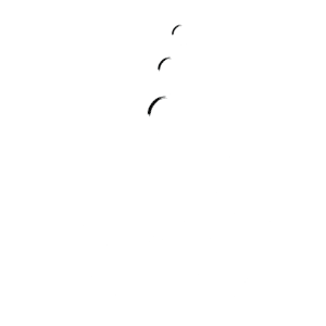 Logotipo Carmen Maestre