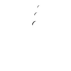 Carmen Maestre - Arteterapia